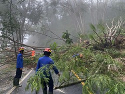 Ada Lima Titik Longsor yang Tutup Jalur Trenggalek-Ponorogo
