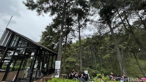 Ngopi di Pabangbon Bogor: Ngopinya Biasa, ke Sininya yang Luar Biasa