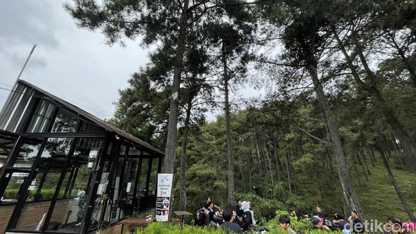 Ngopi di Pabangbon Bogor: Ngopinya Biasa, ke Sininya yang Luar Biasa