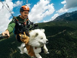 Perkenalkan Ini Ouka, Anjing Terbang Asal Prancis