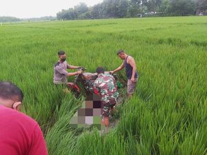 Seorang Pria Ditemukan Tewas di Samping Motor Tengah Sawah Madiun