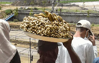Sensasi Nonton Tes MotoGP dari Bukit, Ada Kacang Rebus dan Pop Mie