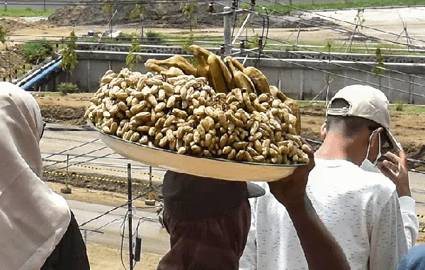 Sensasi Nonton Tes MotoGP dari Bukit, Ada Kacang Rebus dan Pop Mie