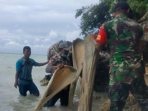Temuan Tulang Ikan Raksasa di Selayar, Ahli Unhas: Diduga Hiu atau Paus Temuan Tulang Ikan Raksasa di Selayar, Ahli Unhas: Diduga Hiu atau Paus