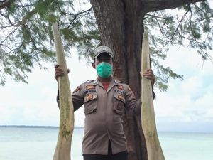 Ikan Raksasa Selayar Gigi Setinggi Pria Dewasa Diduga Mati Saat Gempa M 7,4 Ikan Raksasa Selayar Gigi Setinggi Pria Dewasa Diduga Mati Saat Gempa M 7,4