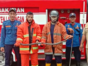 Kobra Huni Gudang SD dan Kucing Terjebak di Atap Rumah Warga Lamongan