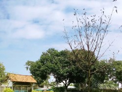 Wisata Rusa Tak Jauh dari Jakarta, Ada di Bekasi dan Depok