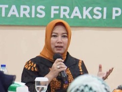 PPP Desak Pemerintah Kendalikan Harga Kedelai yang Fluktuatif