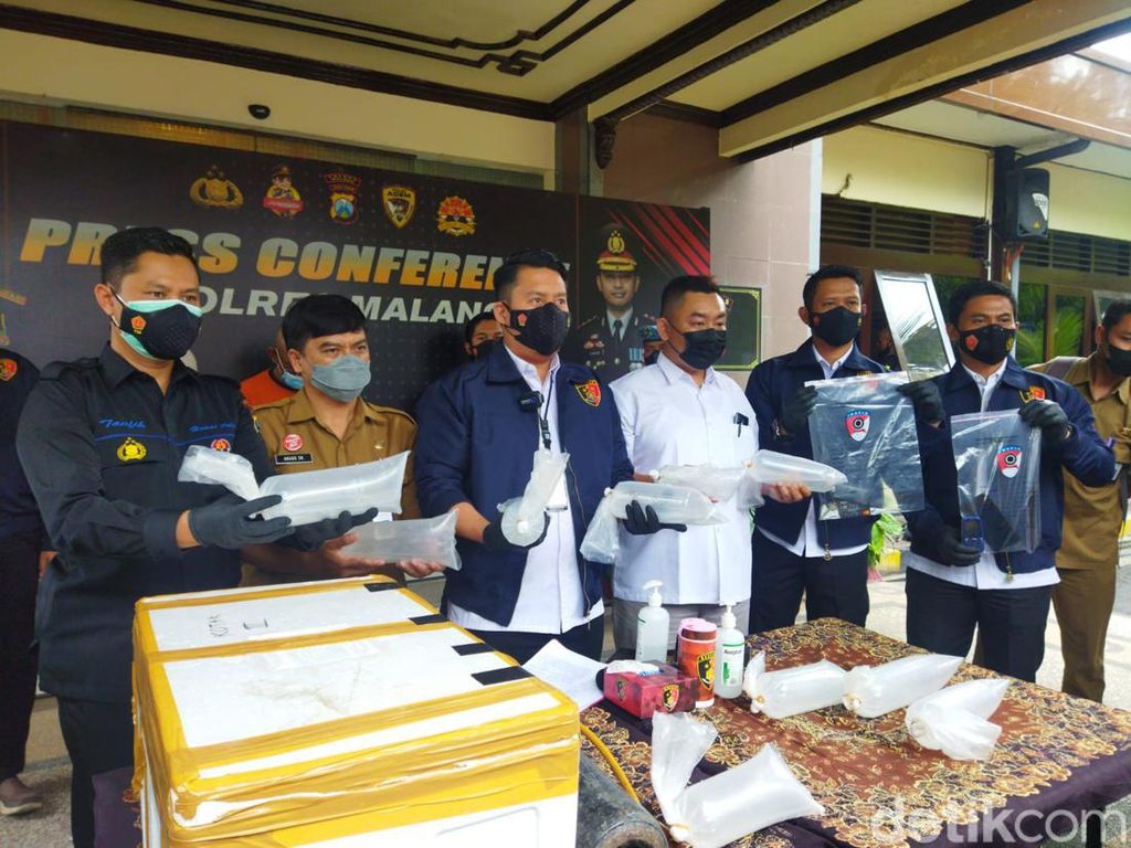 Penjualan 2.500 Benih Lobster di Malang Digagalkan, Dua Orang Diamankan