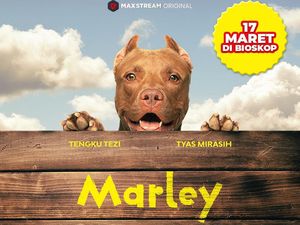 Sentil Isu Perdagangan Anjing Lewat Film Marley Sentil Isu Perdagangan Anjing Lewat Film Marley