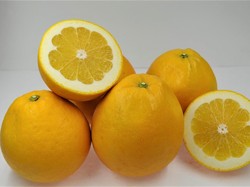 Kawachi Bankan, Jeruk Istimewa dari Jepang yang Manis dan Bernutrisi