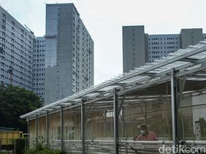 Kreativitas Warga Bertani Hidroponik di Rusun Samawa Jaktim