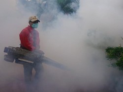 Kasus DBD Tulungagung Capai 95 Kasus Dalam 1,5 Bulan, 2 Meninggal