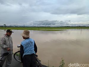 220 Hektare Sawah di Ponorogo Terendam Banjir, Petani Terancam Gagal Panen
