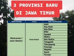 Viral Jawa Timur Lahirkan 3 Provinsi Baru, Pemprov Jatim: Hoaks