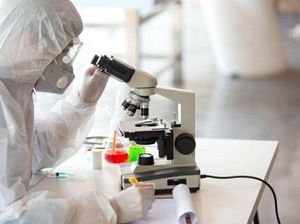 Akhirnya! Jahe Merah Diteliti untuk COVID-19