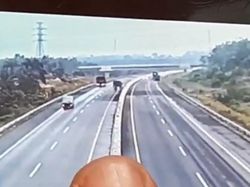 Heboh! Gajah Nyeberang di Jalan Tol Pekanbaru-Dumai