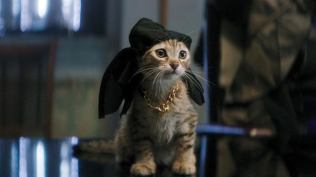 Keanu (2016)