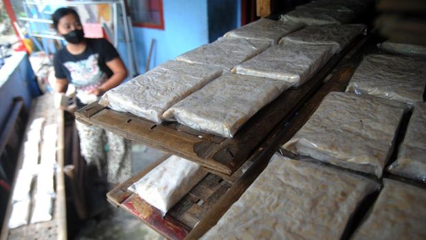Pekerja memproduksi tempe berbahan kedelai impor di sentra industri rumahan, Kelurahan Kedung Waringin, Tanah Sareal, Kota Bogor, Jawa Barat, Sabtu (12/2/2022). Gabungan Koperasi Tahu Tempe Indonesia (Gakoptindo) berharap pemerintah setiap bulan mematok harga kedelai impor sehingga pergerakan harga tidak berubah setiap hari yang membuat sulit para perajin tahu dan tempe. ANTARA FOTO/Arif Firmansyah/rwa.