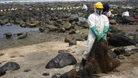 Tengok Lagi Puluhan Pantai di Peru yang Sudah Sebulan Tercemar Minyak