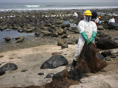 Tengok Lagi Puluhan Pantai di Peru yang Sudah Sebulan Tercemar Minyak