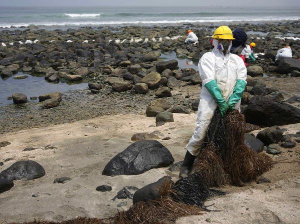 Tengok Lagi Puluhan Pantai di Peru yang Sudah Sebulan Tercemar Minyak