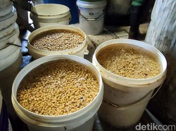 RI Swasembada Kedelai 30 Tahun Lalu tapi Kini Doyan Impor, Ini Sejarahnya