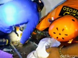 Ular Sanca 3 Meter Ditangkap di Permukiman Padat Penduduk Bondowoso