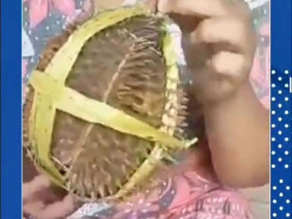 Ulah Pedagang Nakal Jual Durian Zonk Bikin Pasar Wisata Cheng Hoo Sepi