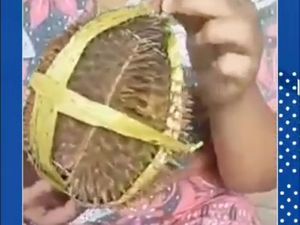 Ulah Pedagang Nakal Jual Durian Zonk Bikin Pasar Wisata Cheng Hoo Sepi Ulah Pedagang Nakal Jual Durian Zonk Bikin Pasar Wisata Cheng Hoo Sepi
