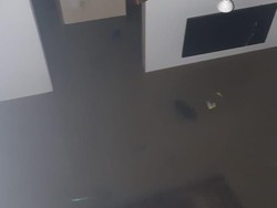 Banjir Setinggi 110 Cm Sempat Terjadi di Gunung Putri Kabupaten Bogor