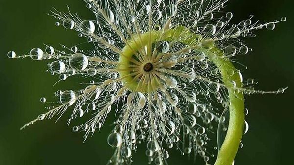 Tanpa Editan Photoshop, Pola Simetris di Foto Ini Begitu Mencengangkan