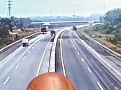 Perekam Gajah Melintas Tol Pekanbaru-Dumai Bantah Underpass Tergenang Air