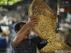 Perajin Tahu dan Tempe Dapat Subsidi Kedelai Selama 4 Bulan