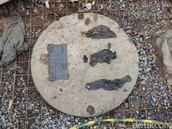 Menentukan Lokasi Sumur Resapan Pada Rumah dengan Luas Lahan Terbatas