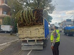 Terjaring Razia, 9 Truk ODOL di Tabanan Bali Kena Tilang