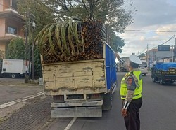 Terjaring Razia, 9 Truk ODOL di Tabanan Bali Kena Tilang
