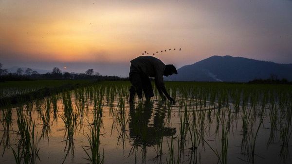 Kerja Ikhlas, Semesta Membalas