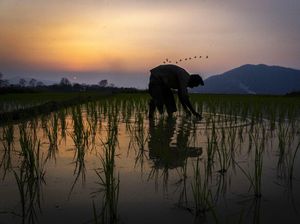 Kerja Ikhlas, Semesta Membalas