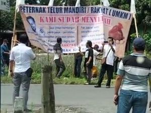 Larangan Demo Bikin Peternak Ayam Layer Blitar Pasang Puluhan Banner Larangan Demo Bikin Peternak Ayam Layer Blitar Pasang Puluhan Banner
