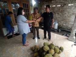 Pembeli yang Kena Zonk di Pasar Wisata Cheng Hoo Terima 50 Durian Gratis