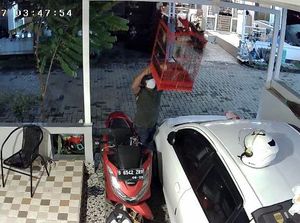 7 Burung Senilai Rp 38 Juta Dicuri Sekaligus dari 4 Rumah Warga di Depok