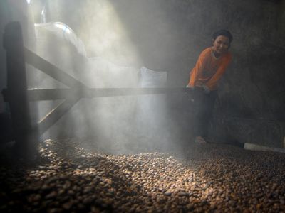 Pengolahan Kopi Tradisional Koto Tuo di Tanah Datar