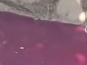 Pemkab Uji Air Kali di Tangerang yang Viral Berubah Merah, Ini Hasilnya Pemkab Uji Air Kali di Tangerang yang Viral Berubah Merah, Ini Hasilnya