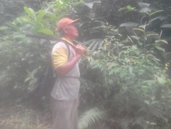 Damianus Nadu Penjaga Hutan Adat Khawatir dengan Ekspansi Sawit