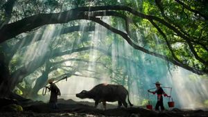 Keindahan Desa di China Ini Serba Palsu Demi Konten Instagramable