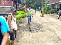 Jalan Rusak Ditanami Pisang, Ini Respons Dinas Bina Marga Jabar