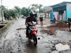 Penampakan Jalan Provinsi di Cianjur yang Rusak Parah hingga Ditanami Pisang
