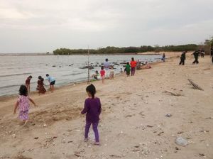 BPBD Waspadai Gelombang Pasang Air Laut di Pesisir Lamongan 24-26 Desember BPBD Waspadai Gelombang Pasang Air Laut di Pesisir Lamongan 24-26 Desember