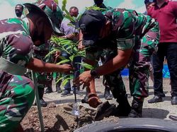 Mitigasi Bencana, Pangdam Iskandar Muda Tanam Pohon di Pulau Terluar Aceh